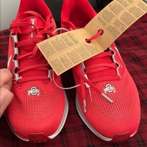 Nike Red Air Zoom Pegasus 41 for sale (Ohio State) comes with no box size 9
